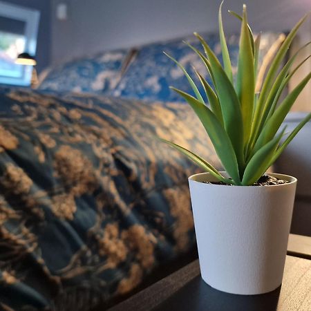 The Penthouse Ny Loft Apartment Barmouth Eksteriør billede