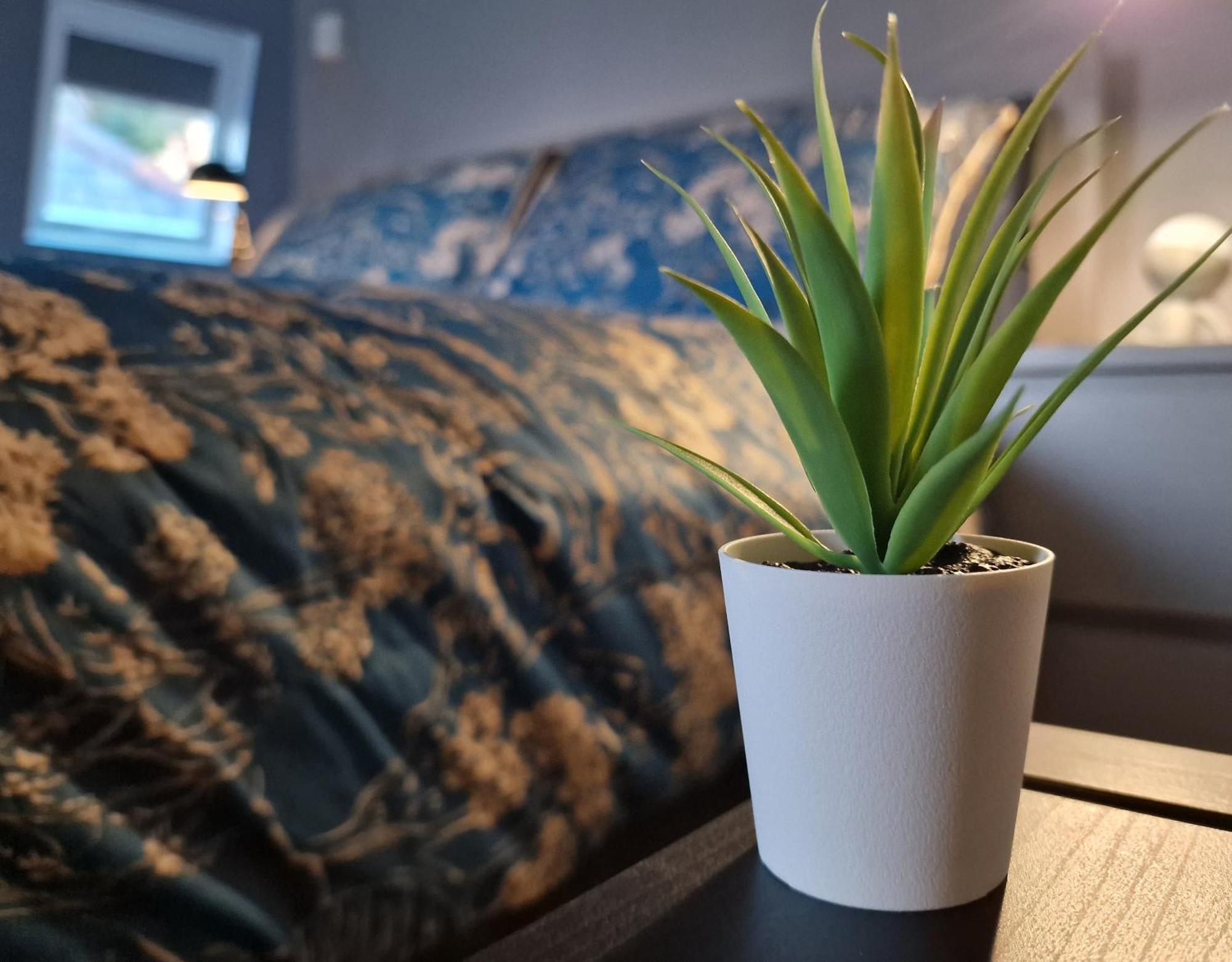 The Penthouse Ny Loft Apartment Barmouth Eksteriør billede